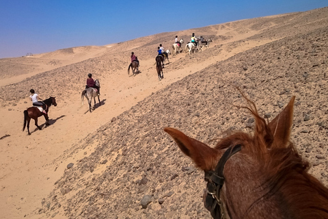 Hurghada: Sunset Sea, Desert Horse W Opt, Dinner, Stargazing Sunrise Hurghada: 4-hour Horse Ride With Swim Stop