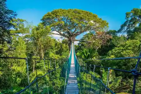 Puerto Maldonado: Jungleeventyr |Zipline + Canopy + Kajak