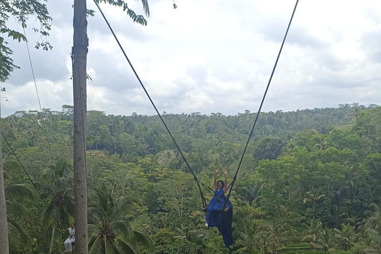 ubud trip monkey forest sanctuary