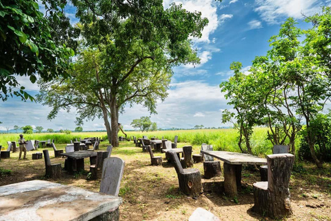 From Zanzibar: Mikumi Safari Day Trip with Flights and Lunch Mikumi Shared Safari without hotel transfer