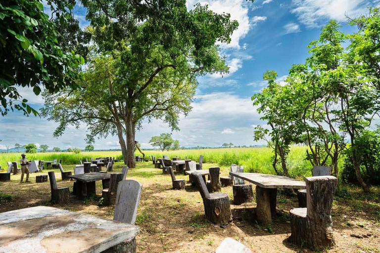 From Zanzibar: Mikumi Safari Day Trip with Flights and Lunch Mikumi Shared Safari without hotel transfer