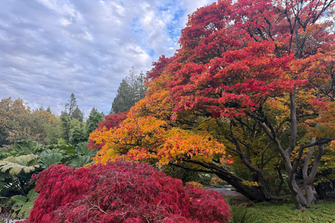 Vancouver Capilano Bridge,Stanley Park,City/CAR/Small Group
