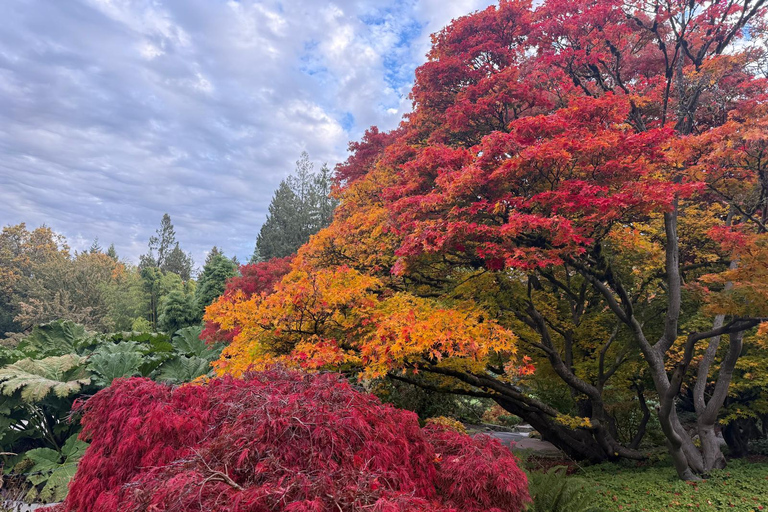 Vancouver Capilano Bridge,Stanley Park,City/CAR/Small Group