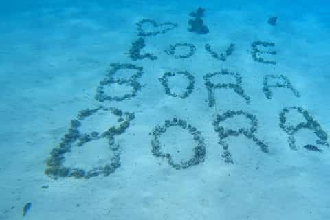 Bora Bora : Safari privé d'une demi-journée sur le lagon