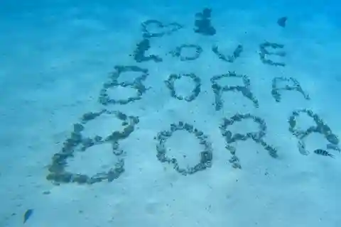Bora Bora: Private 1/2 day lagoon safari tour