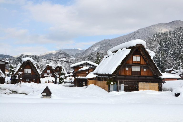 Nagoya: Shirakawa-go, Hida Takayama Day Tour