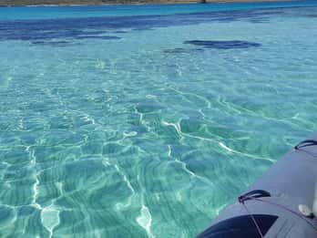 Escursione Asinara e Pelosa di mezza giornata
