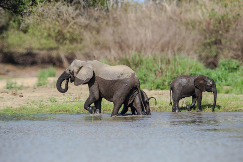 3-days Selous GR /Nyerere NP unforgettable fishing safari.