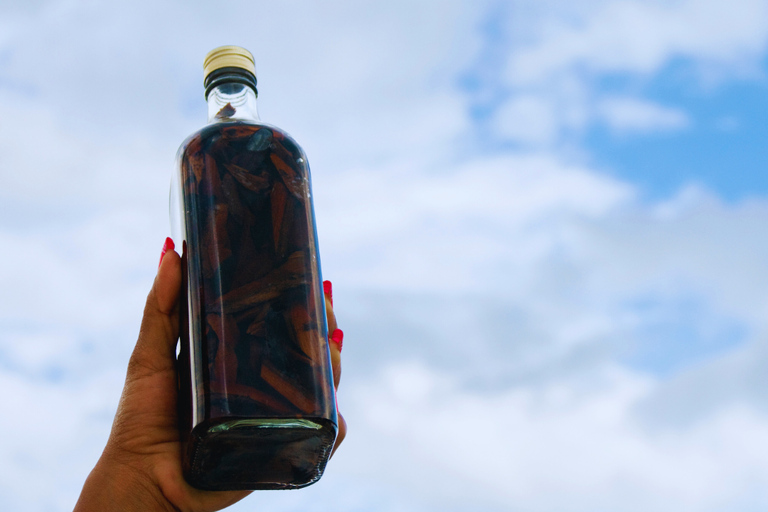 Exclusive VIP Excursion: Santo Domingo from Punta Cana – Private Service