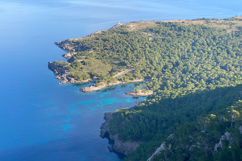 Tours en bateau privés et plongée en apnée, Alcudia, Pollensa, Formentor