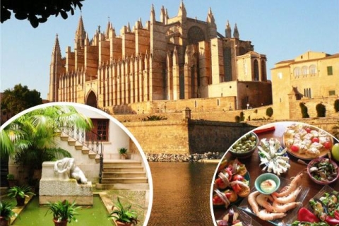 Palma de Mallorca: tour guiado por el centro históricoPalma de Mallorca: tour privado guiado del centro histórico