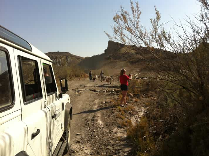 tour 4x4 tabernas