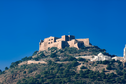 Oran: The absolute everything of El Bahia with a local