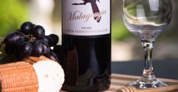 Kos: Premium Wine Experience at Skevofilax, Treasures of Kos