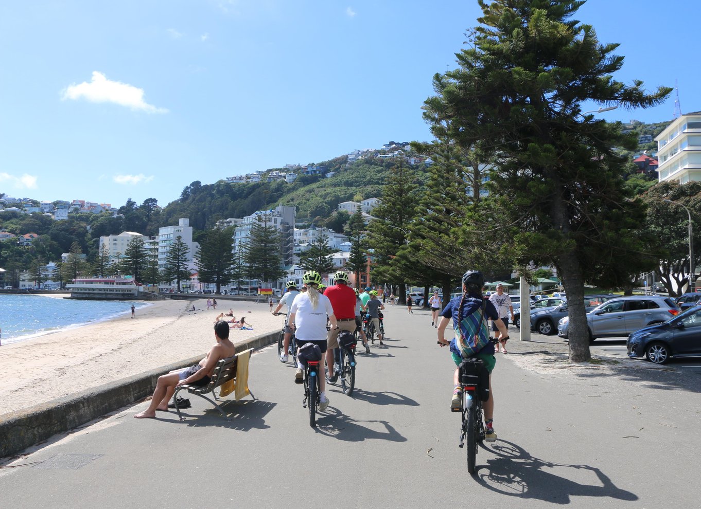 Wellington: Easy Rider guidet tur på eBike