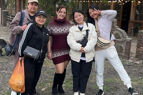 Tbilisi: 6-Day Georgia Tour with Wine Tasting & Cooking