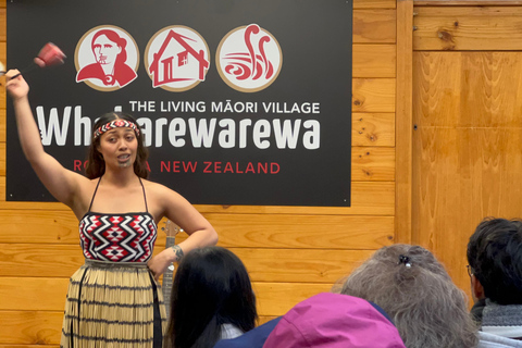 WHAKAREWAREWA - Le village maori vivant - Visite de groupe depuis AKL