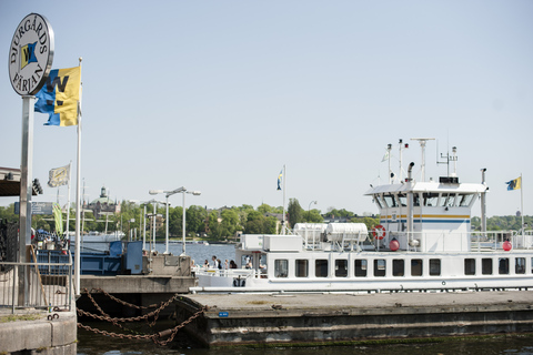 Stockholm: Oude binnenstad, eiland Djurgården &amp; VasamuseumRondleiding in het Duits