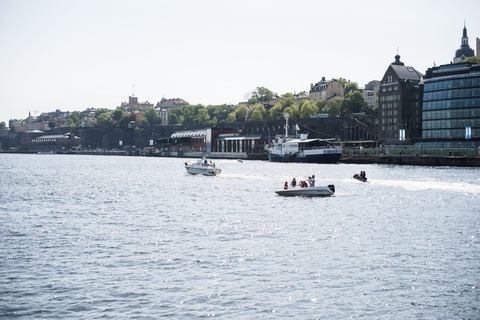 Estocolmo: Casco Antiguo, Isla de Djurgården y Museo VasaTour en alemán