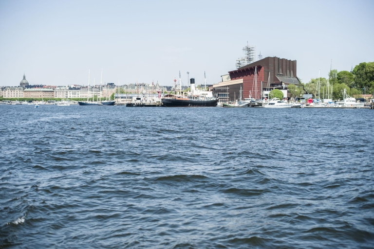 Estocolmo: centro histórico, isla de Djurgården y Museo VasaTour en inglés