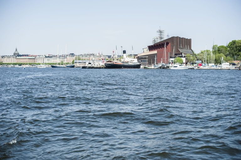 Estocolmo: centro histórico, isla de Djurgården y Museo VasaTour en inglés