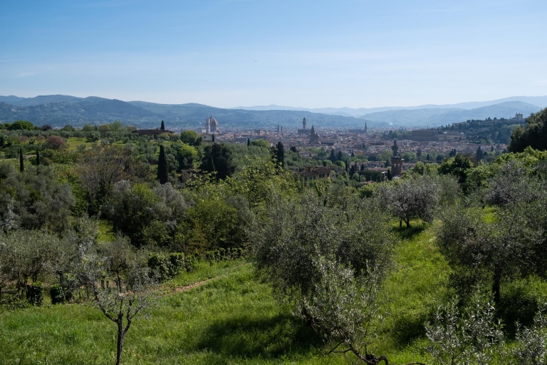 Z Florencji: Wycieczka rowerowa po Toskanii z lunchem i degustacją wina