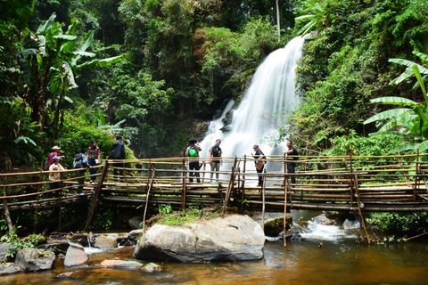 Vandring i Doi Inthanon nationalpark &amp; vandring på Pha Dok Siew Trail