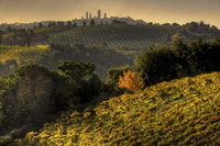 Van Siena, Chianti en San Gimignano Sunset Tour - Housity
