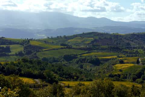 Brunello di Montalcino Full-Day Wine Tour with Tastings