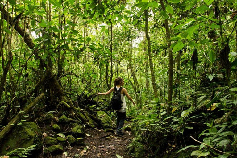 BOGOTA: Chicaque; Explore, Venture and Enjoy in the Heart of the Forest