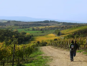Siena: halbtägige geführte Wanderung nach Monteriggioni