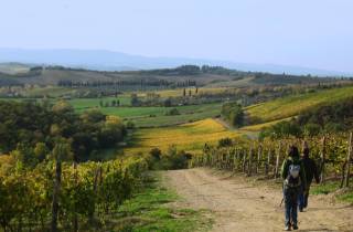 Siena: Geführte Halbtageswanderung nach Monteriggioni