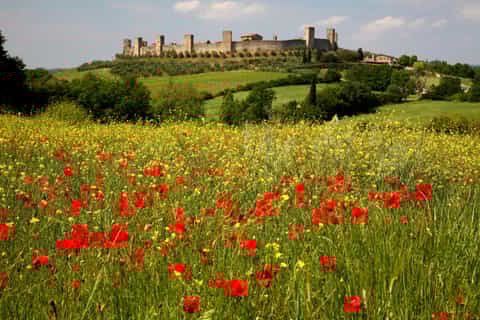 Siena: Half-day Guided Hike to Monteriggioni