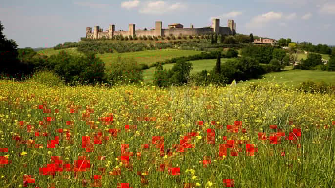 siena halfday guided hike to monteriggioni