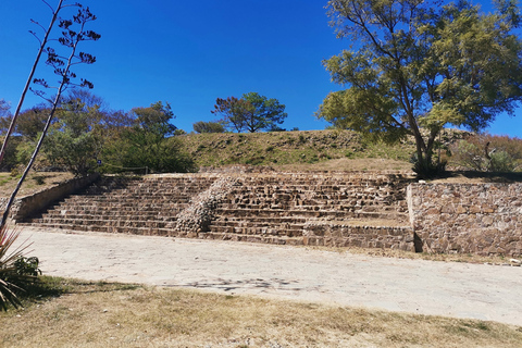 Full Day Guided Tour on the Monte Alban Route Only tickets included