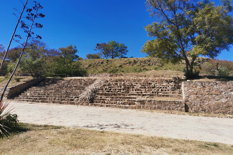 Guidad heldagstur på Monte Alban-vägenEndast biljetter ingår