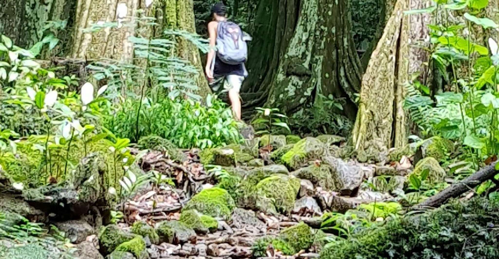 Moorea Safari Nature et Culture Tour avec guide local - Hizvo