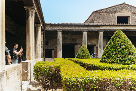 Z Rzymu: Pompeje, Wybrzeże Amalfi i Positano - jednodniowa wycieczkaWycieczka półprywatna z degustacją likieru limoncello