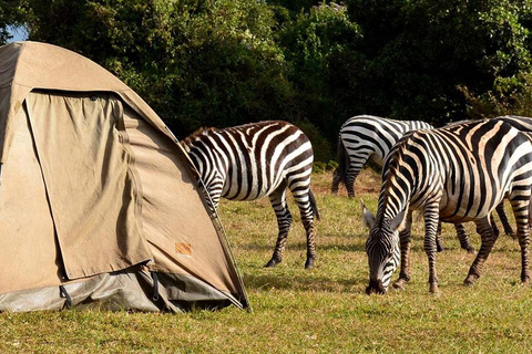 Tansania: 4-Tage Serengeti und Ngorongoro Private Camping ...