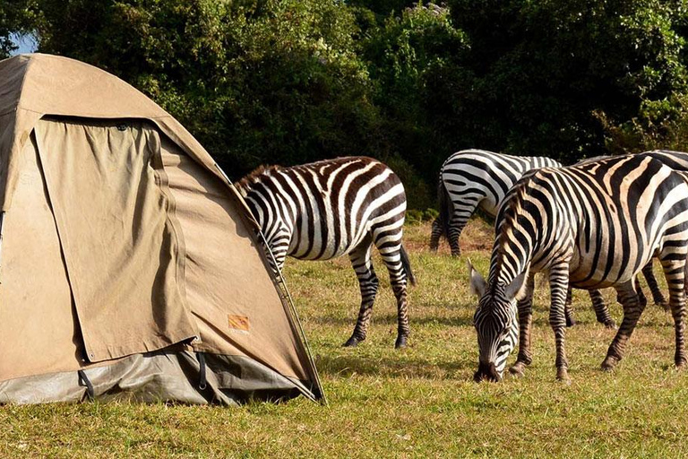 Tansania: 4-Tage Serengeti und Ngorongoro Private Camping ...