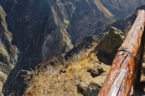 From Puno: Colca Canyon Expedition, Ending in Arequipa