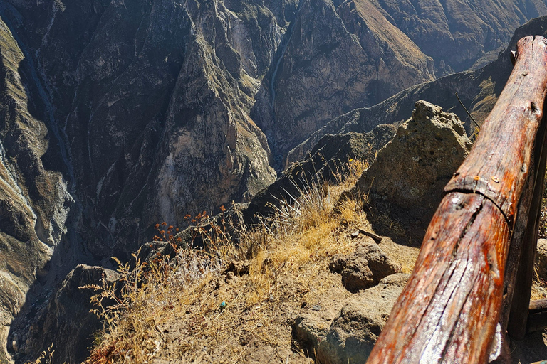From Puno: Colca Canyon Expedition, Ending in Arequipa