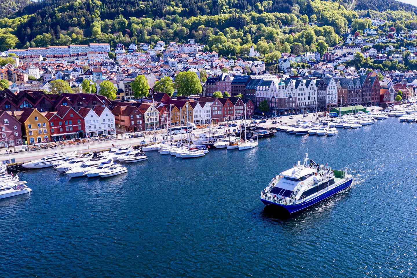 Bergen: Mostraumen Fjord Cruise with Local Guide
