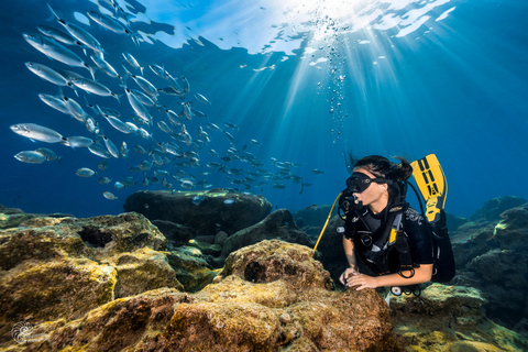 Paralimni, Protaras: Scuba Diving for Beginners! Best place