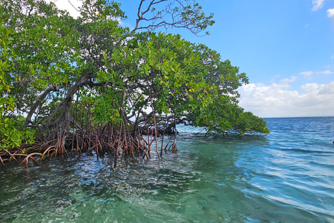 Guadeloupe: Day trip to Les Saintes