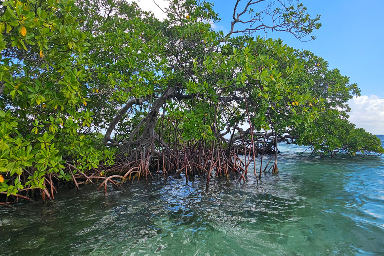 Guadeloupe: Day trip to Les Saintes