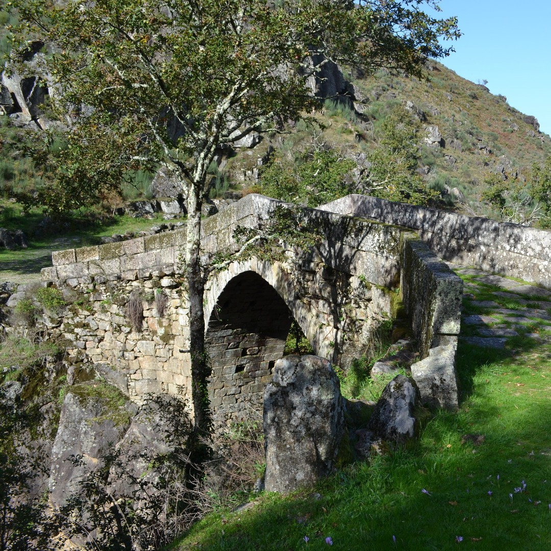 Colagem de mídia