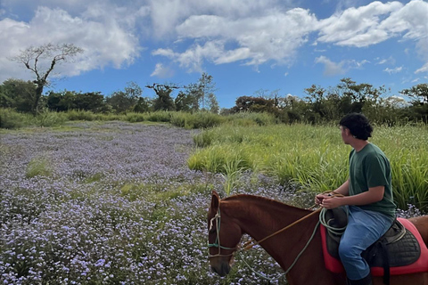 San José: Horseback Riding in Scenic Cloud Forest
