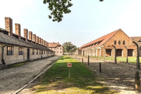From Krakow: Auschwitz Birkenau and Salt Mine Guided Tour Group Tour in English with Transfer from Meeting Point