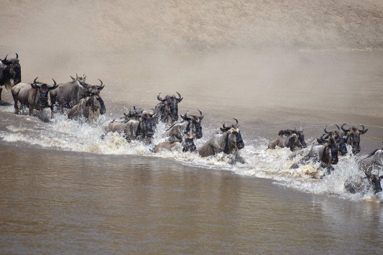 3-tägige Serengeti-Nationalpark-Safari